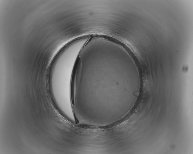 X0000091000926200708091536