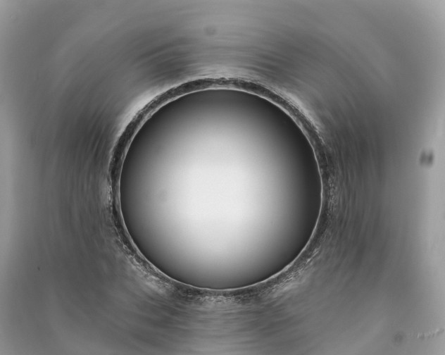 X0000091000927200708091536