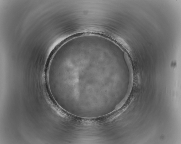 X0000091000928200708091536