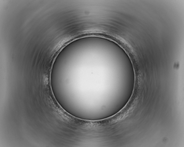 X0000091000929200708091536