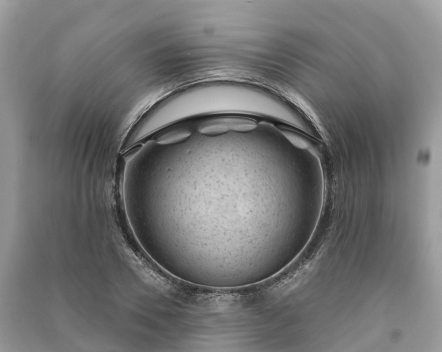 X0000091000930200708091536