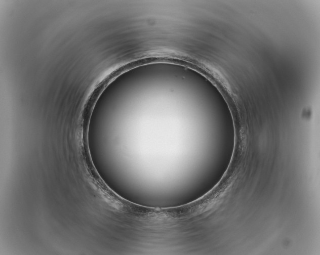 X0000091000931200708091536