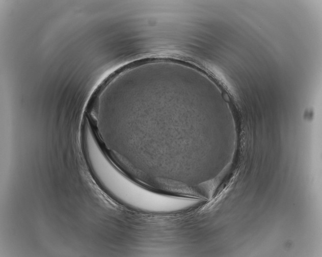 X0000091000932200708091536
