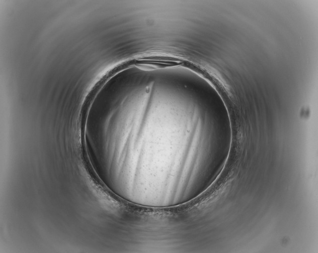 X0000091000934200708091536