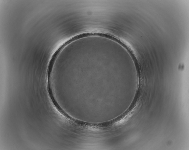 X0000091000935200708091537