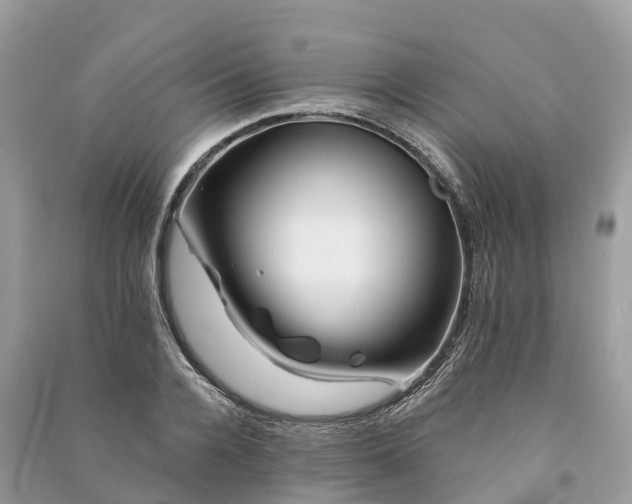 X0000091000936200708091537
