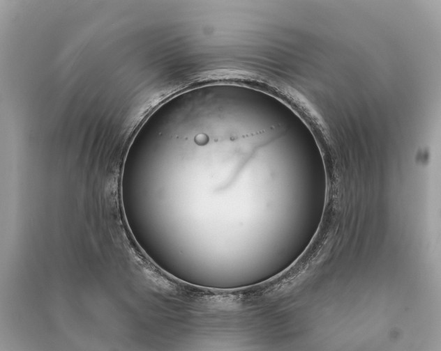 X0000091000937200708091537