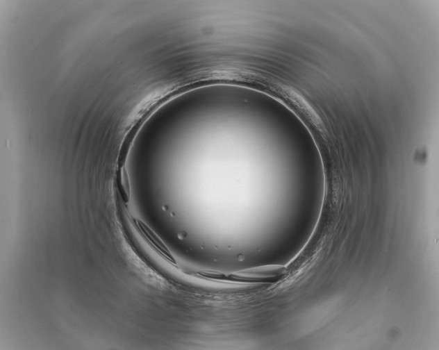 X0000091000938200708091537