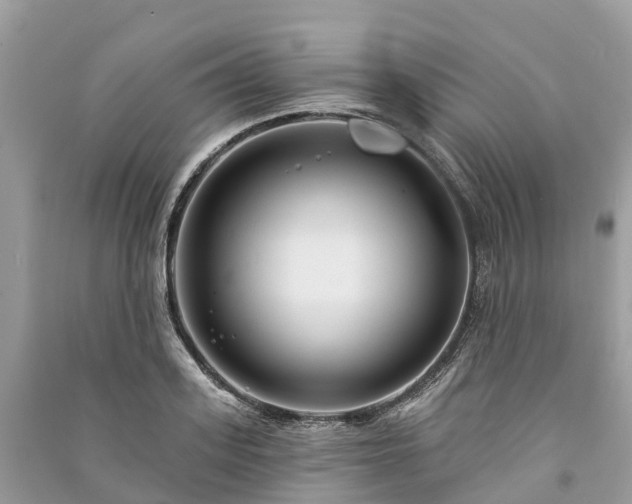 X0000091000939200708091537