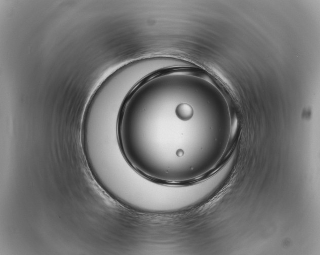 X0000091000940200708091537