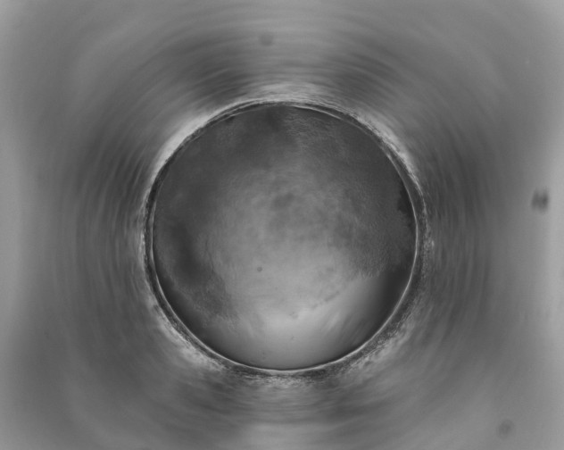 X0000091000941200708091537