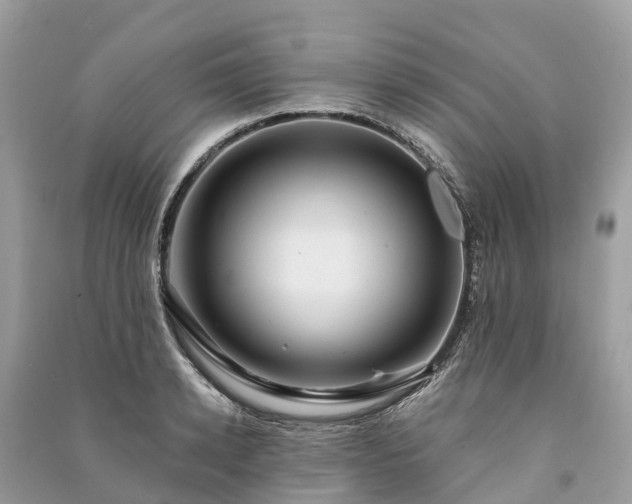 X0000091000942200708091537
