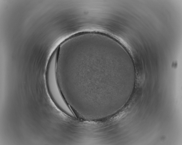 X0000091000943200708091537