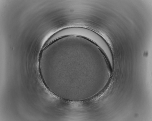X0000091000944200708091537