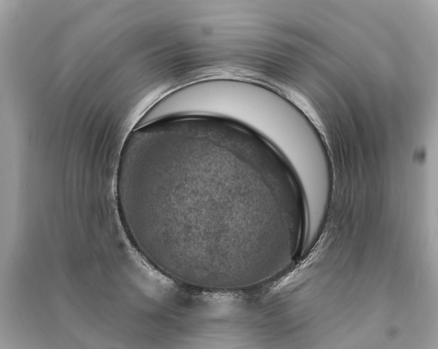 X0000091000946200708091537