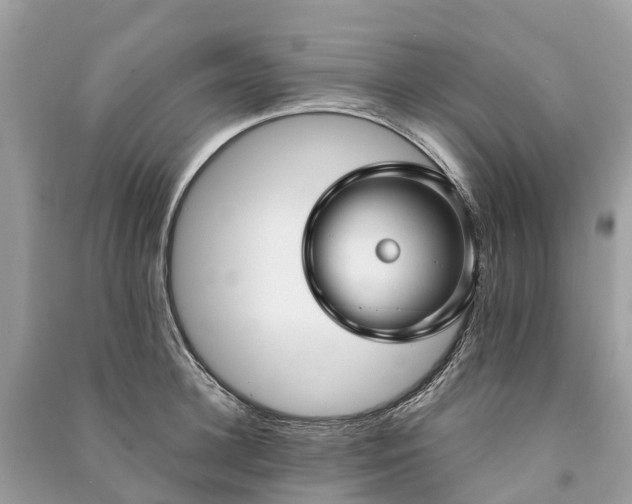 X0000091000948200708091537