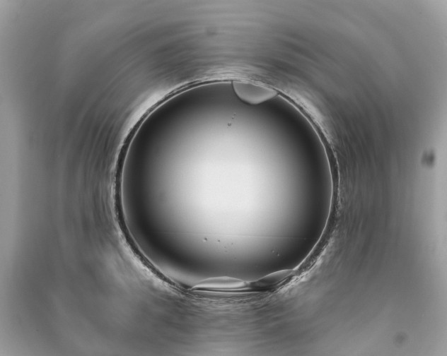 X0000091000949200708091537