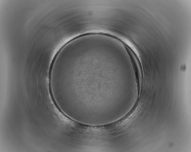 X0000091000951200708091537