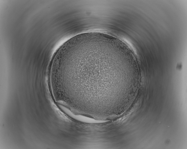 X0000091000952200708091537