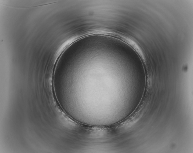 X0000091000954200708091537