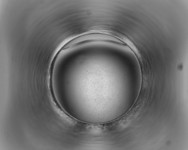 X0000091000955200708091537