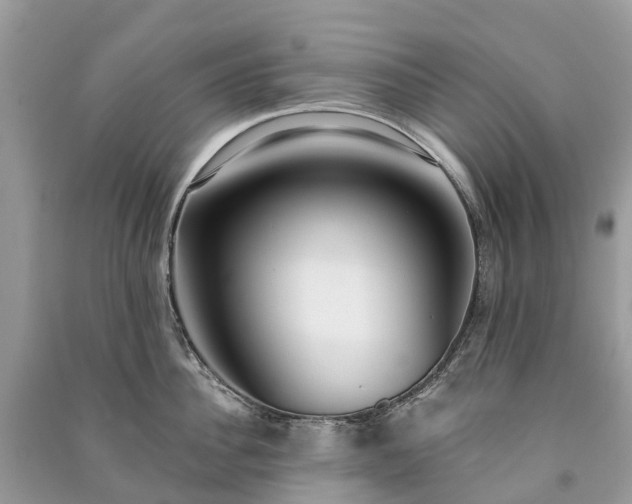 X0000091000956200708091537
