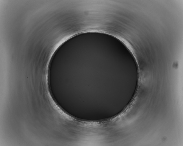 X0000091000957200708091537