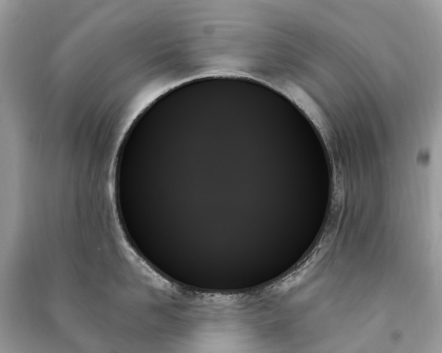 X0000091000958200708091537