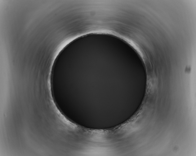 X0000091000959200708091537