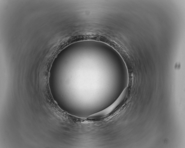 X0000091000961200708091536