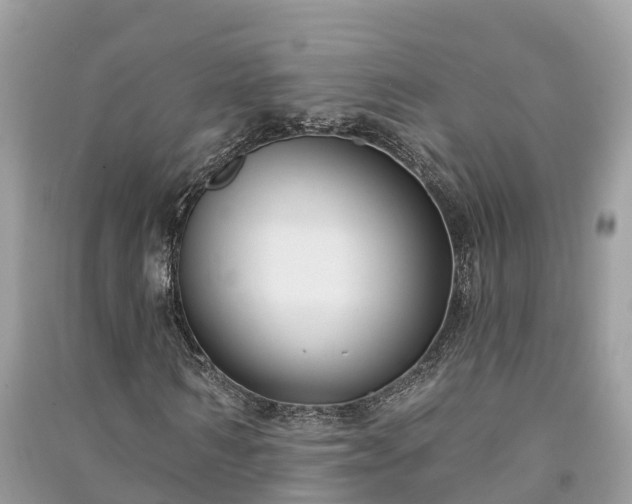 X0000091000962200708091536