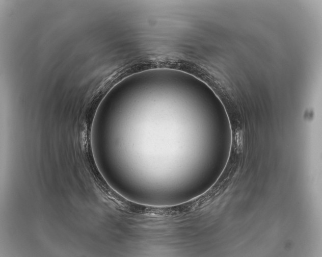 X0000091000963200708091536