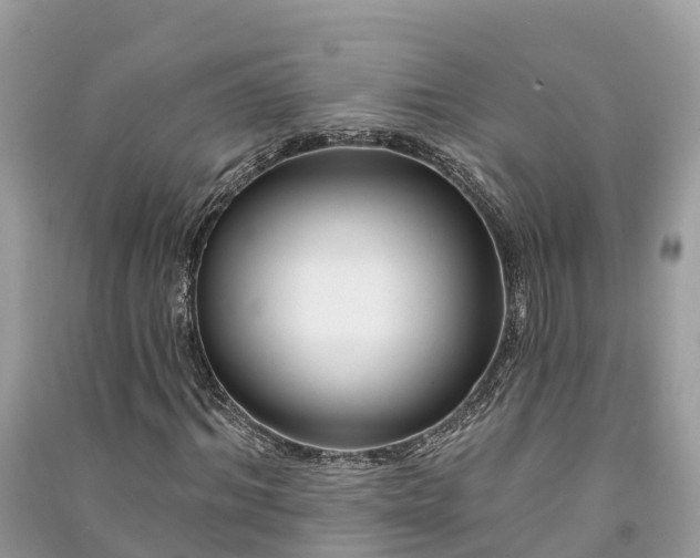 X0000091000964200708091536
