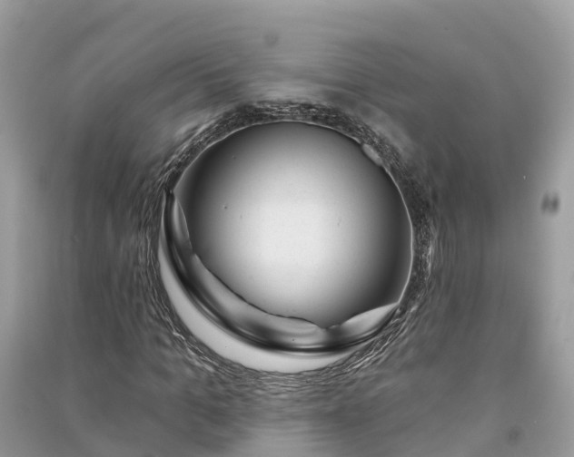 X0000091000965200708091536