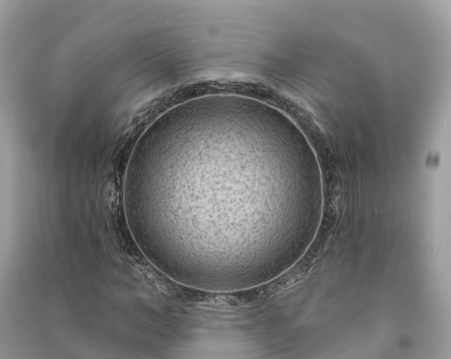 X0000091000966200708091536