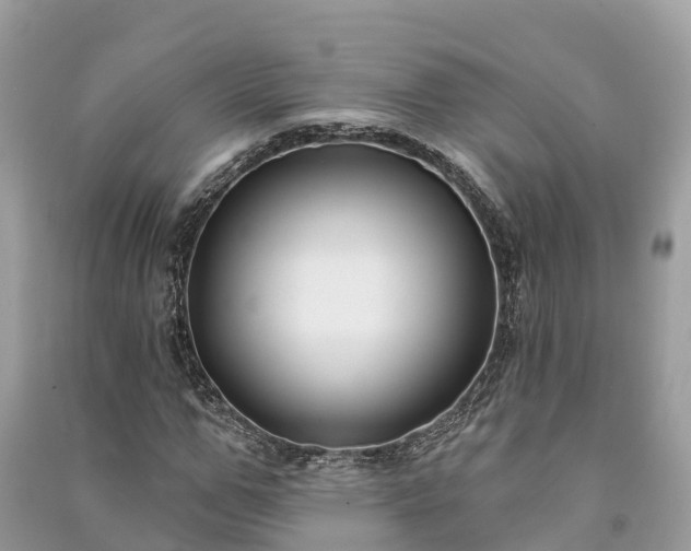 X0000091000967200708091536
