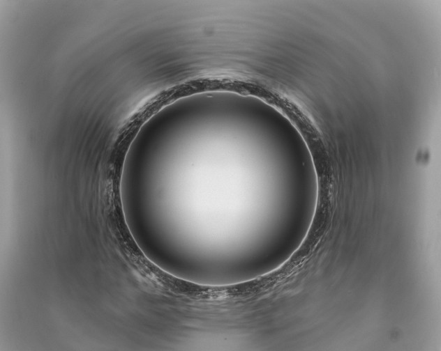 X0000091000968200708091536