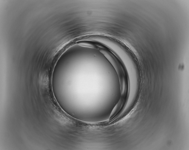 X0000091000969200708091536