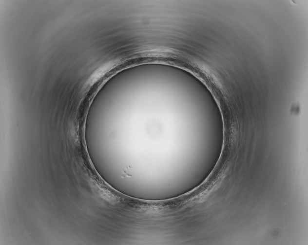 X0000091000970200708091536