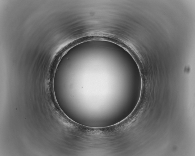 X0000091000971200708091536