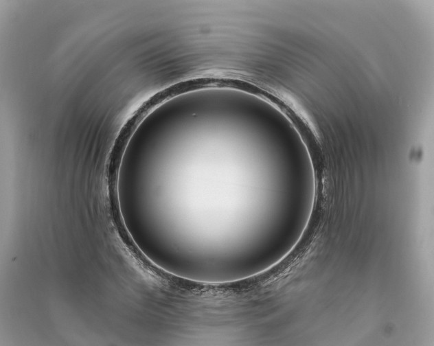 X0000091000972200708091536