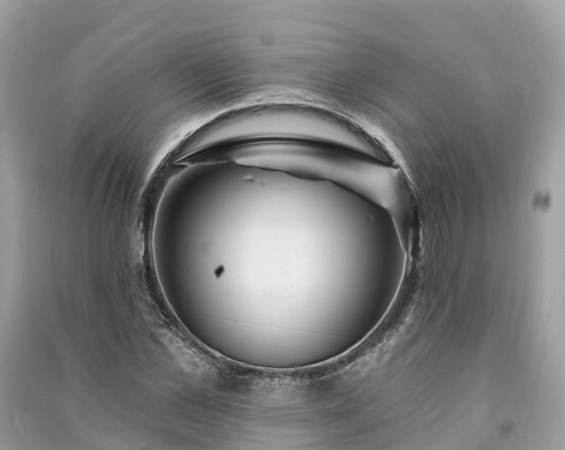 X0000091000973200708091536