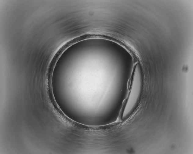 X0000091000976200708091536