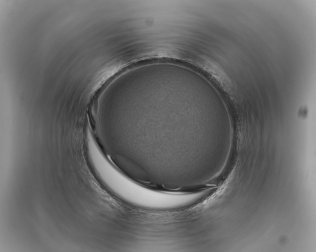X0000091000977200708091536