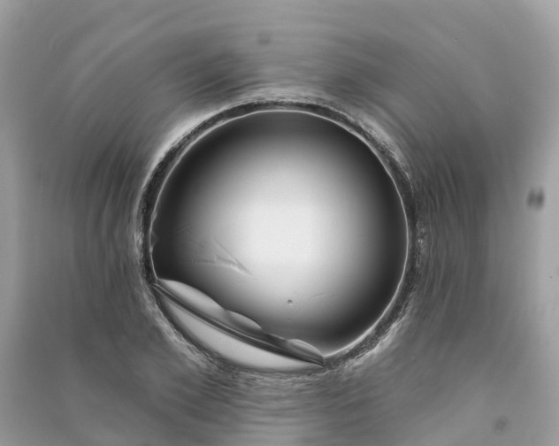 X0000091000981200708091536
