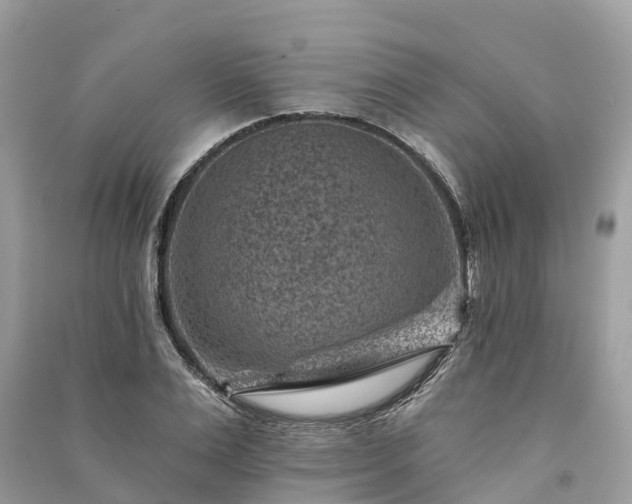 X0000091000983200708091536
