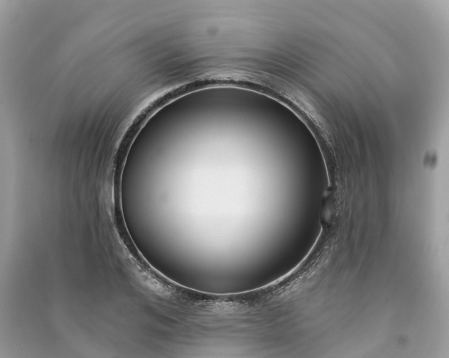 X0000091000984200708091536