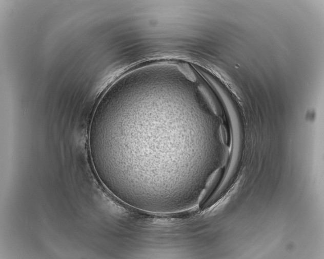 X0000091000985200708091536