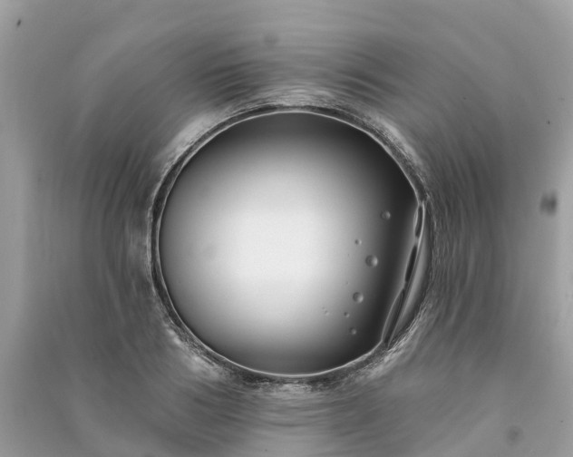 X0000091000986200708091536