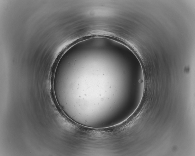 X0000091000987200708091536